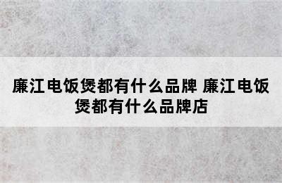 廉江电饭煲都有什么品牌 廉江电饭煲都有什么品牌店